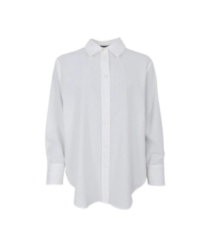 BCSTARRY STASS SHIRT 